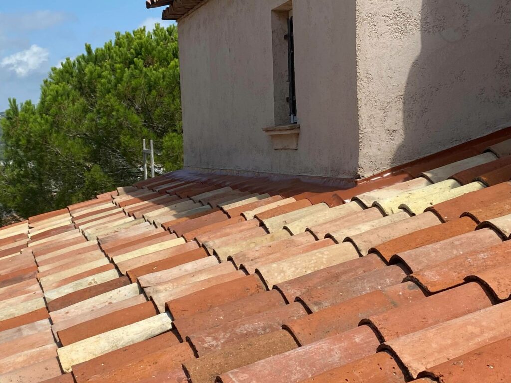 societe de nettoyage de toiture a draguignan