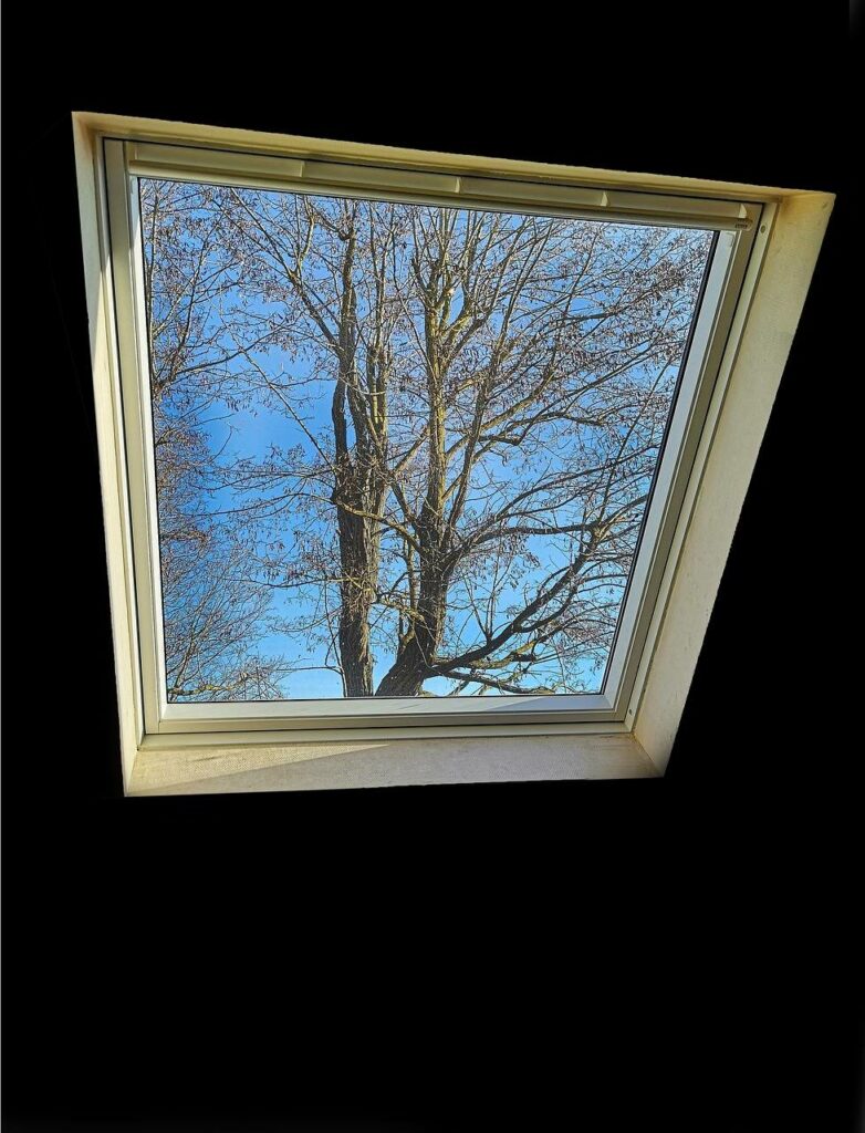 couvreur pose velux a saint raphael dans le var